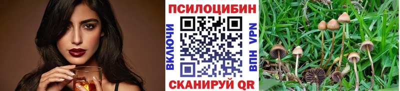 Купить где Краснозаводск Галлюциногенные грибы мухоморы